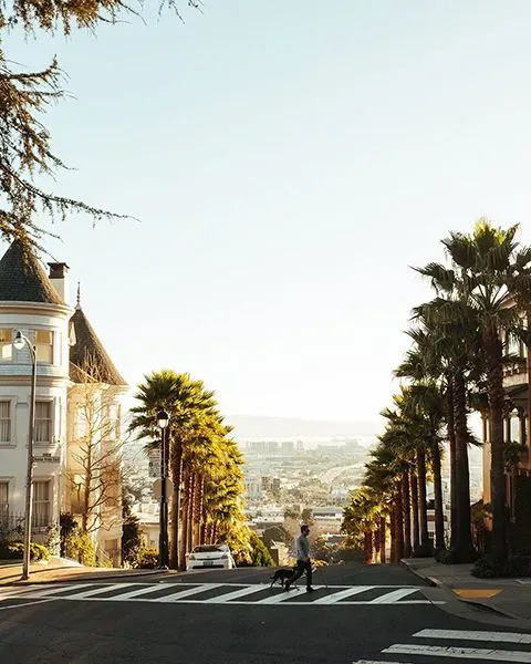 Representing California a view of the San Francisco skyline on a sunny day.